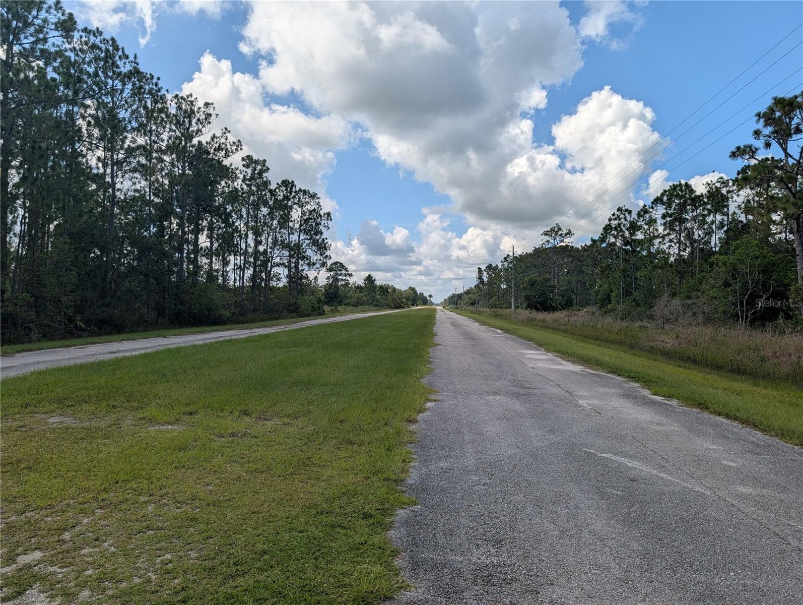 401 CAMELLIA DRIVE
