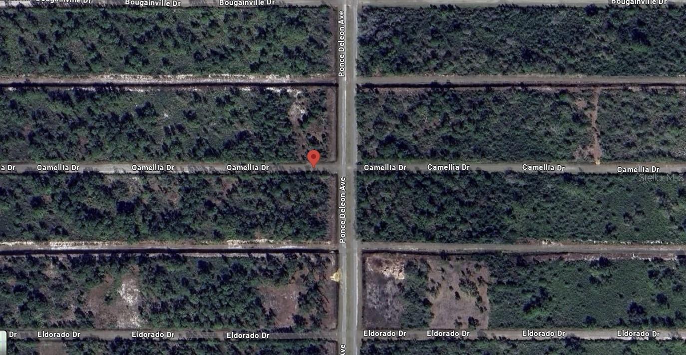 401 CAMELLIA DRIVE