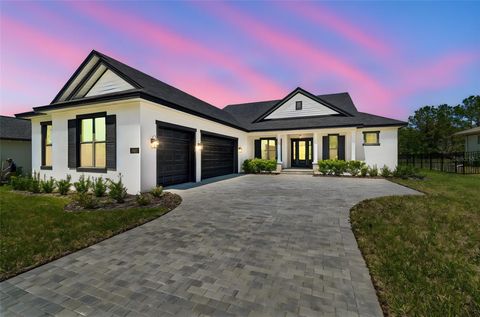 Photo of 19411 Sheltered Hill Drive, Brooksville, FL 34601 (MLS # T3548137)