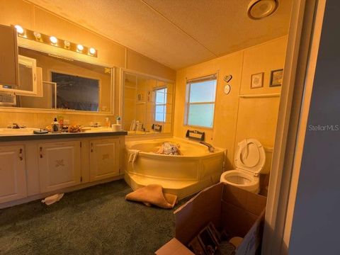 Tiny photo for 2011 Pinewood Lane, Mount Dora, FL 32757 (MLS # O6409316)