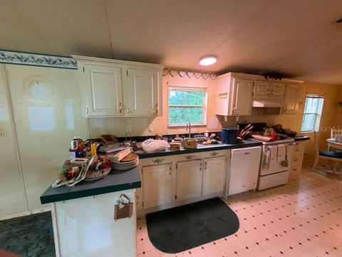 Tiny photo for 2011 Pinewood Lane, Mount Dora, FL 32757 (MLS # O6409316)