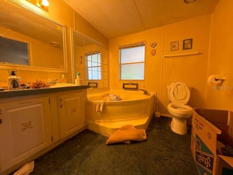 Tiny photo for 2011 Pinewood Lane, Mount Dora, FL 32757 (MLS # O6409316)