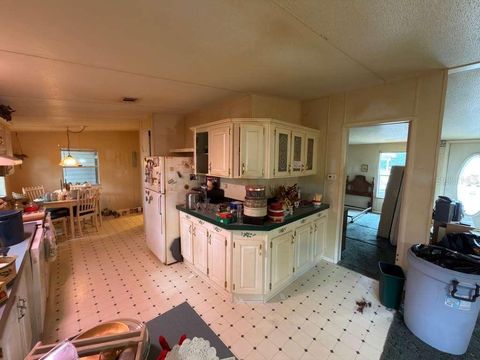 Tiny photo for 2011 Pinewood Lane, Mount Dora, FL 32757 (MLS # O6409316)