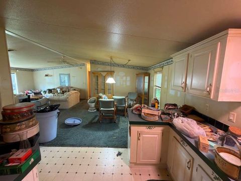 Tiny photo for 2011 Pinewood Lane, Mount Dora, FL 32757 (MLS # O6409316)