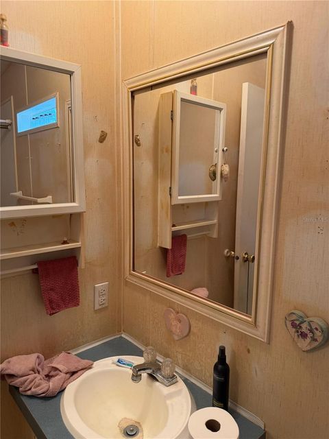 Tiny photo for 2011 Pinewood Lane, Mount Dora, FL 32757 (MLS # O6409316)