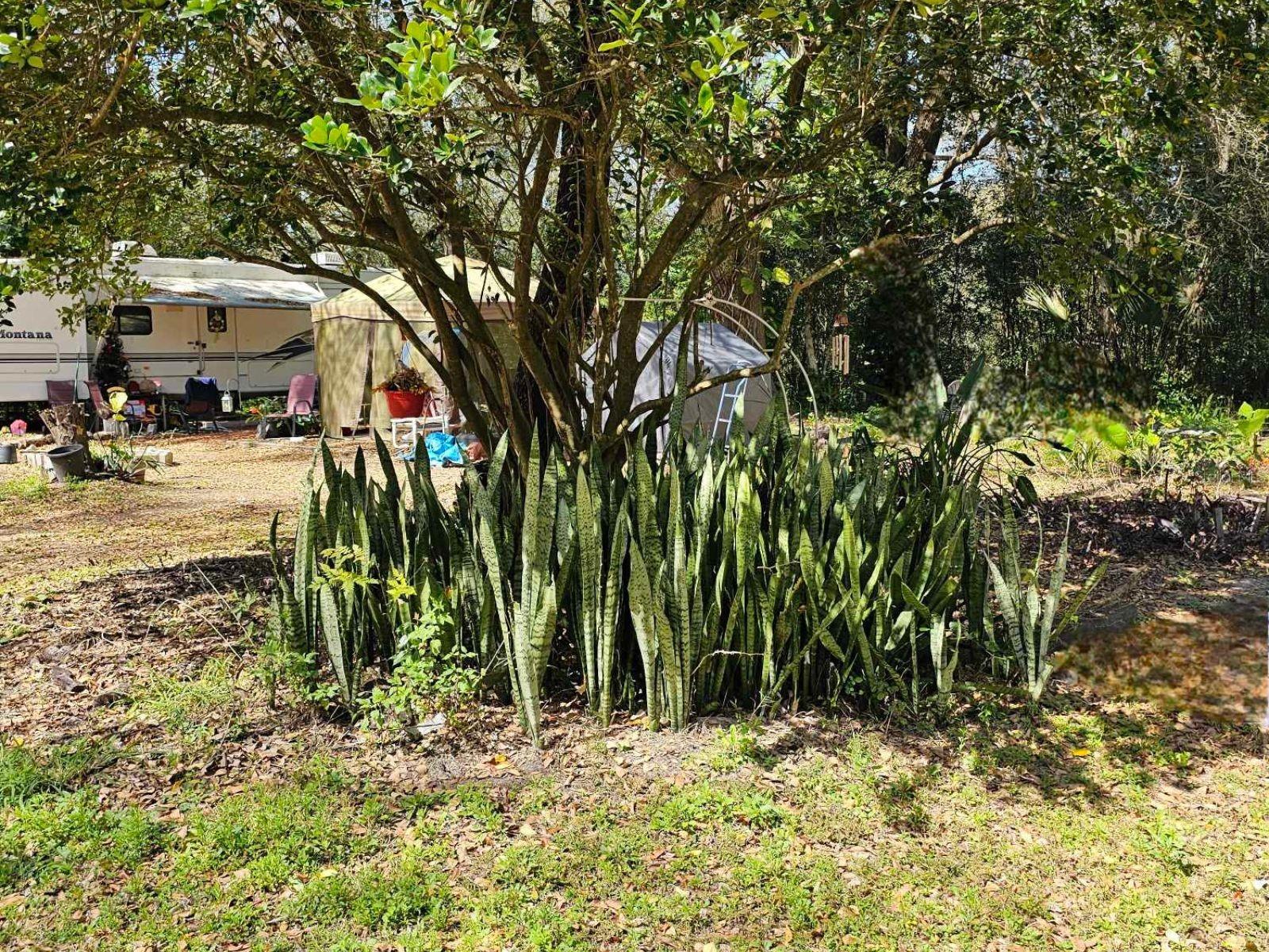 HILLTOP SORRENTO - Land