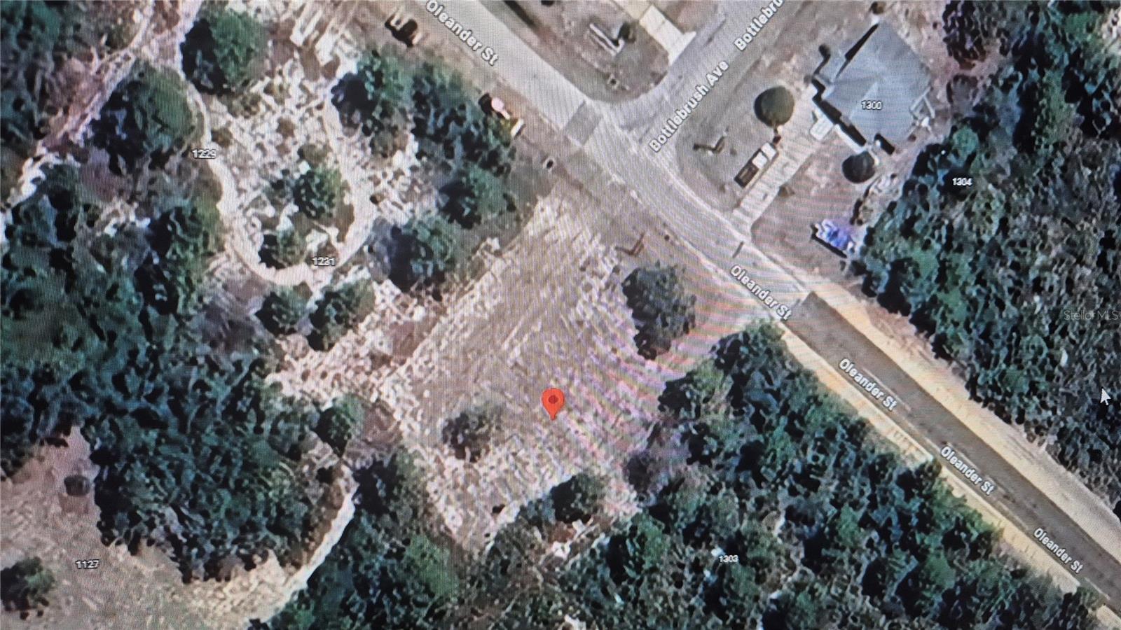 1233 OLEANDER STREET