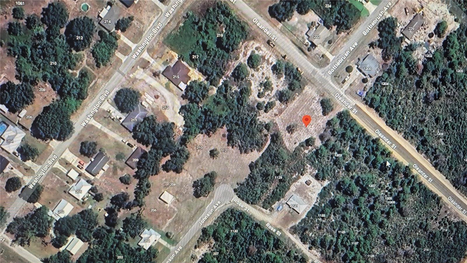 1233 OLEANDER STREET