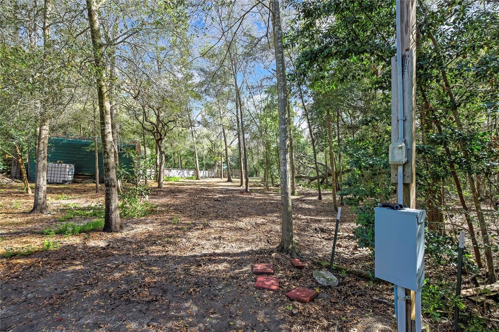 AC US 19 E TO C98 (AC02) - Residential