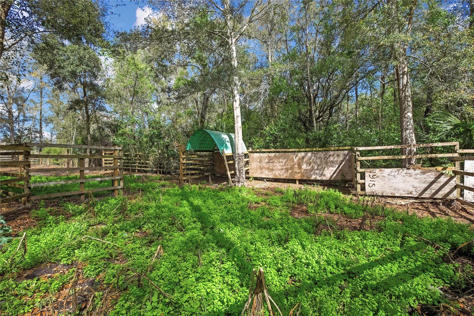 AC US 19 E TO C98 (AC02) - Residential