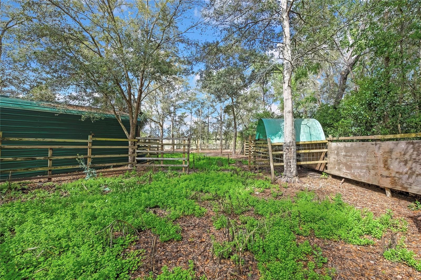 AC US 19 E TO C98 (AC02) - Residential