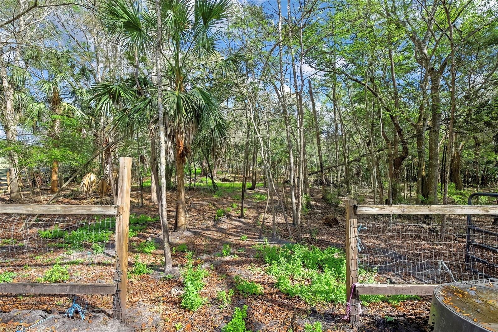 AC US 19 E TO C98 (AC02) - Residential