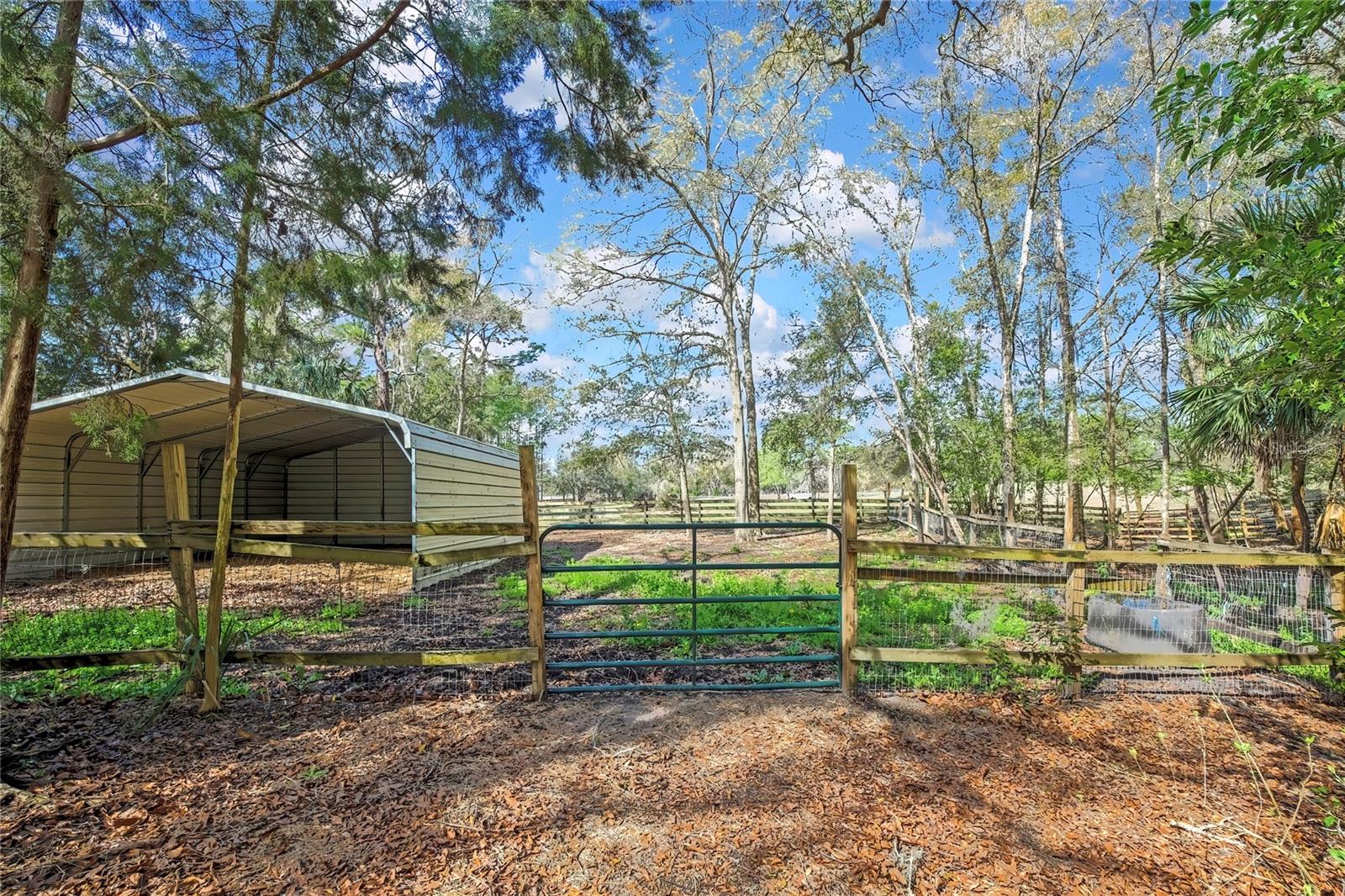 AC US 19 E TO C98 (AC02) - Residential