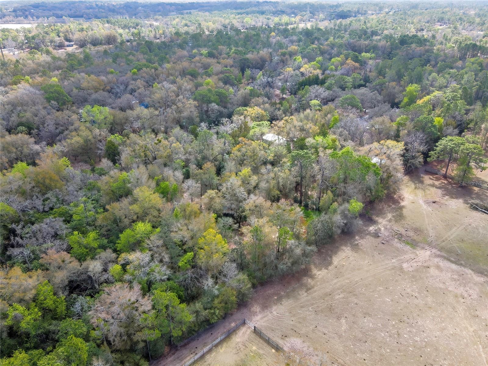 AC US 19 E TO C98 (AC02) - Residential