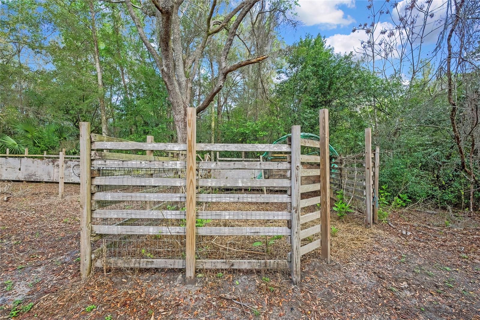 AC US 19 E TO C98 (AC02) - Residential