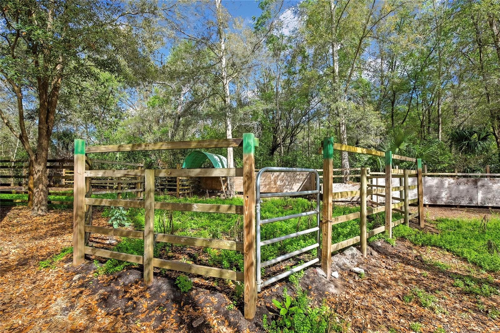 AC US 19 E TO C98 (AC02) - Residential