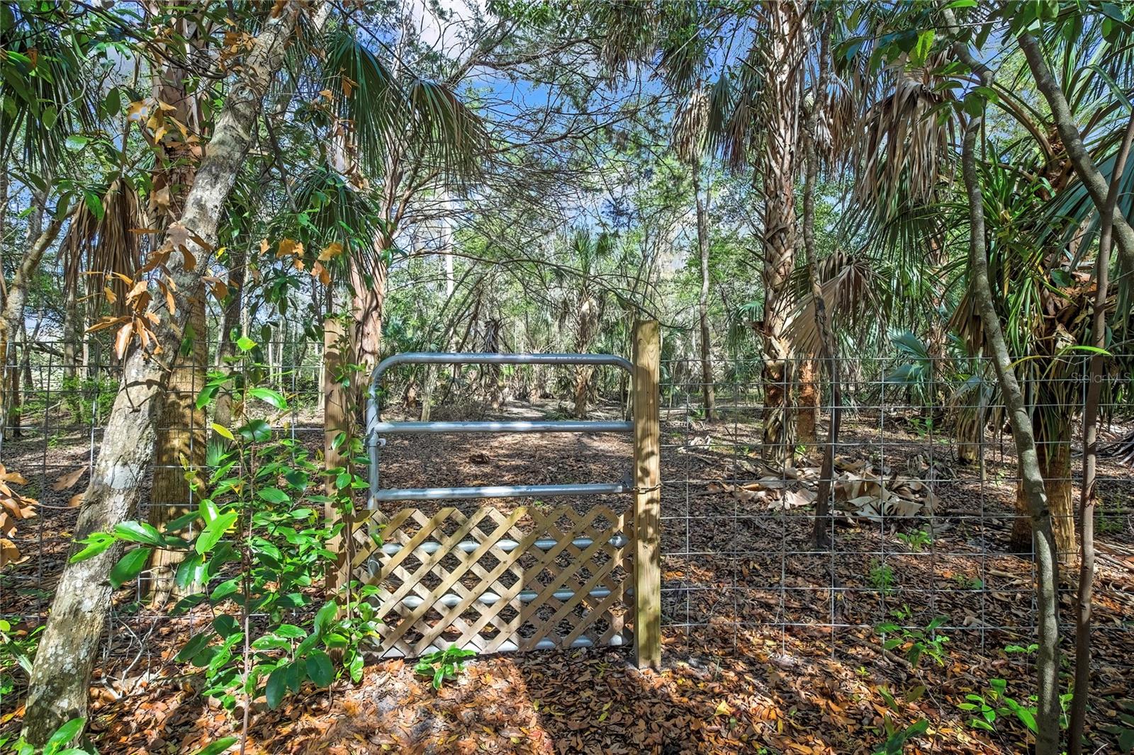 AC US 19 E TO C98 (AC02) - Residential