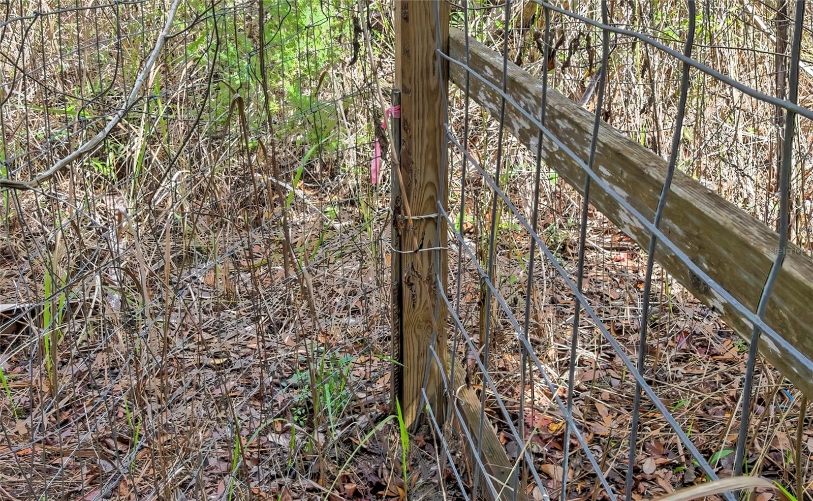 AC US 19 E TO C98 (AC02) - Residential