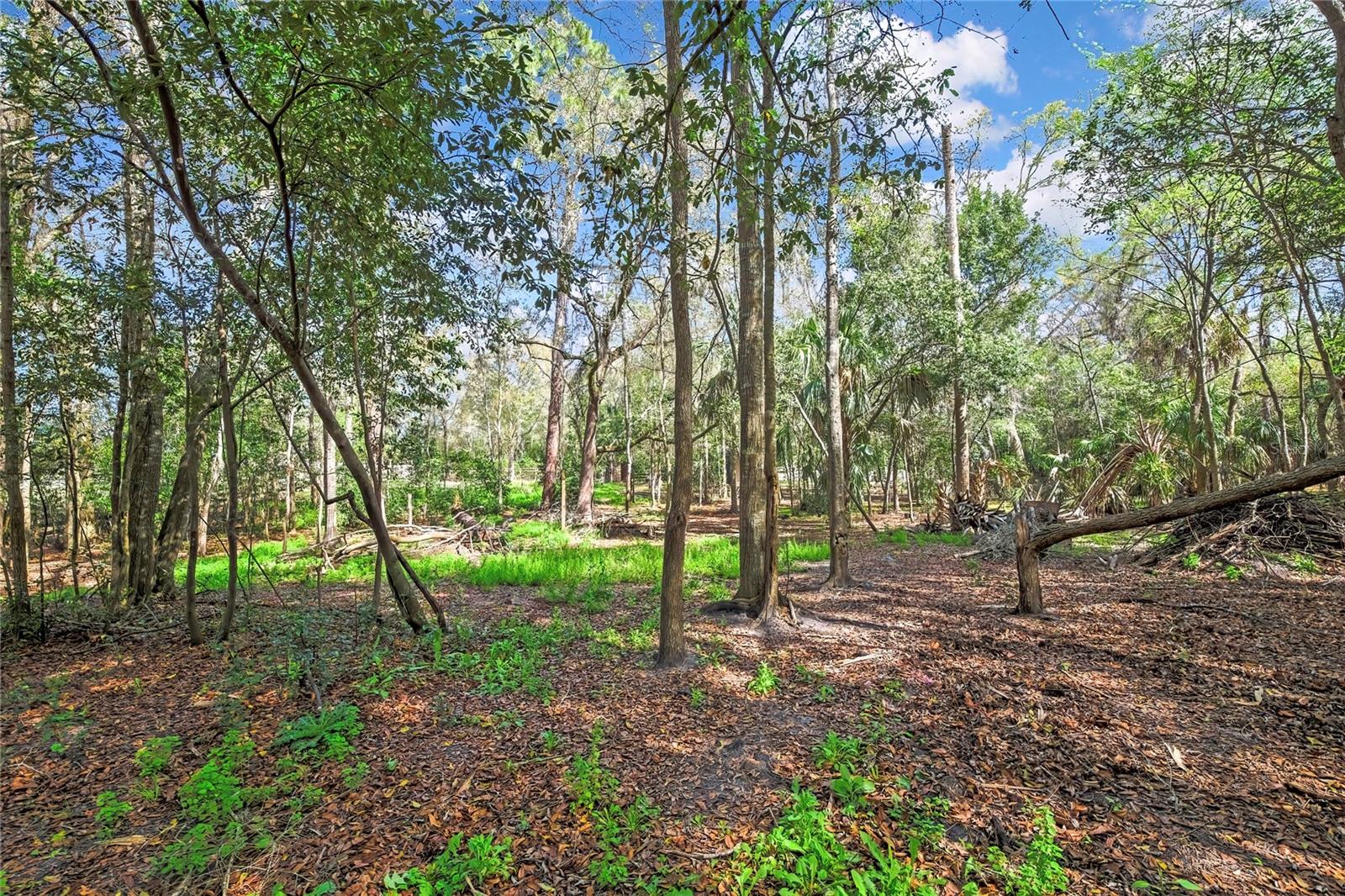 AC US 19 E TO C98 (AC02) - Residential