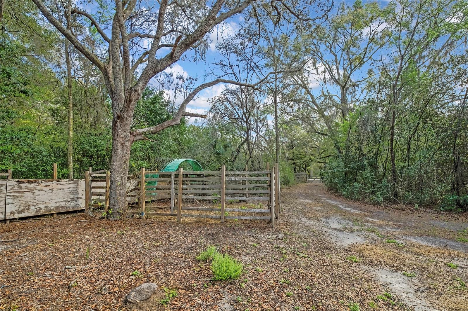 AC US 19 E TO C98 (AC02) - Residential