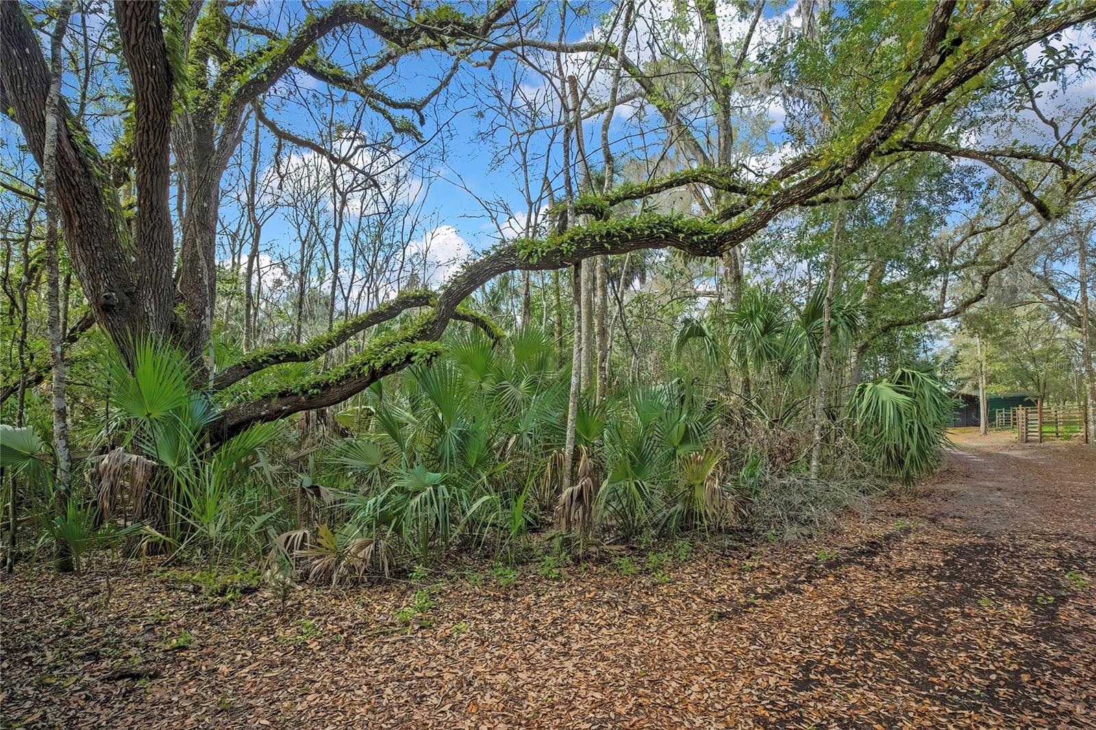 AC US 19 E TO C98 (AC02) - Residential