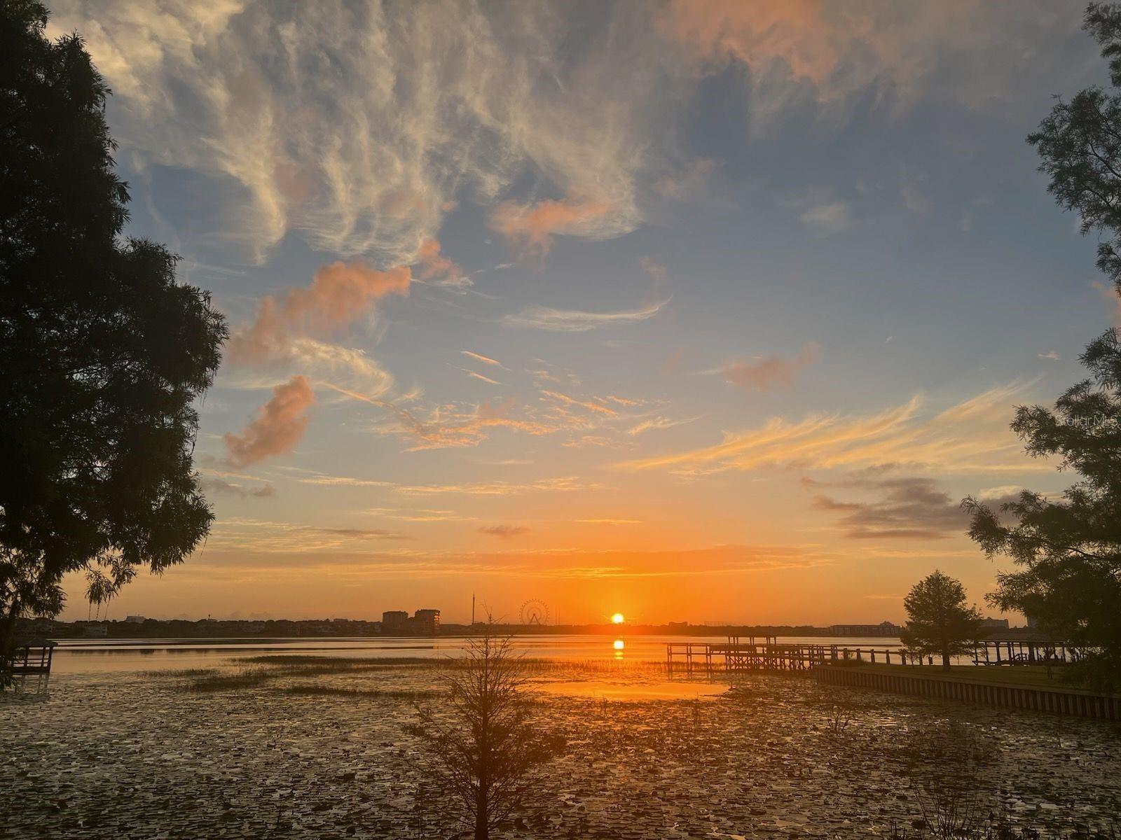 ESTATES AT PHILLIPS LANDING - Residential