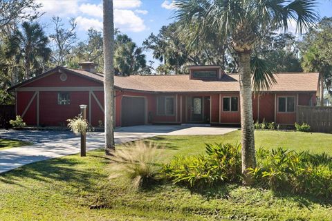 A home in FLAGLER BEACH