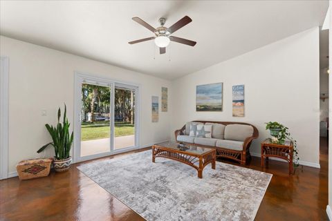 A home in FLAGLER BEACH