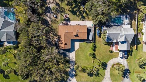 A home in FLAGLER BEACH