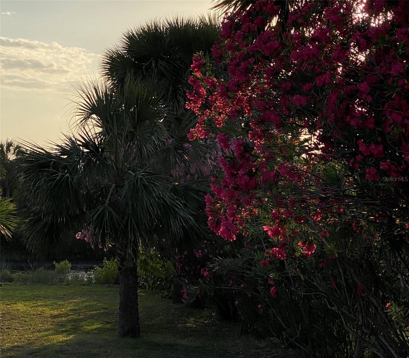 NOT IN SUBDIVISION - Residential