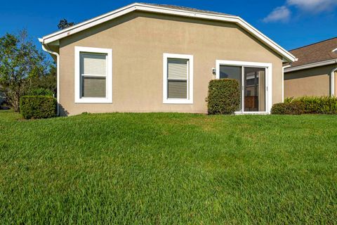 A home in MOUNT DORA