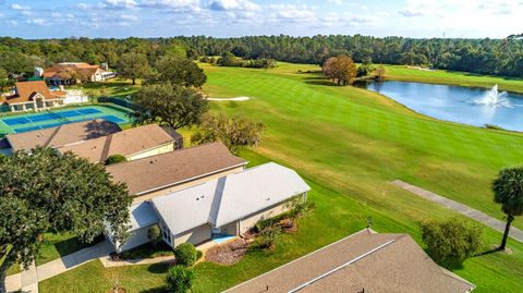 A home in MOUNT DORA