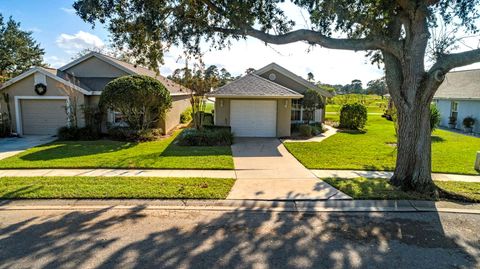 A home in MOUNT DORA