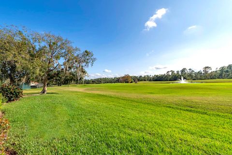 A home in MOUNT DORA