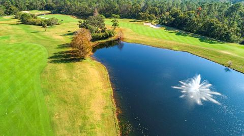 A home in MOUNT DORA