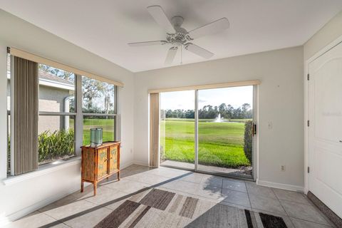 A home in MOUNT DORA