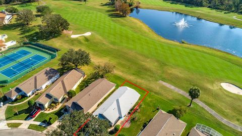 A home in MOUNT DORA