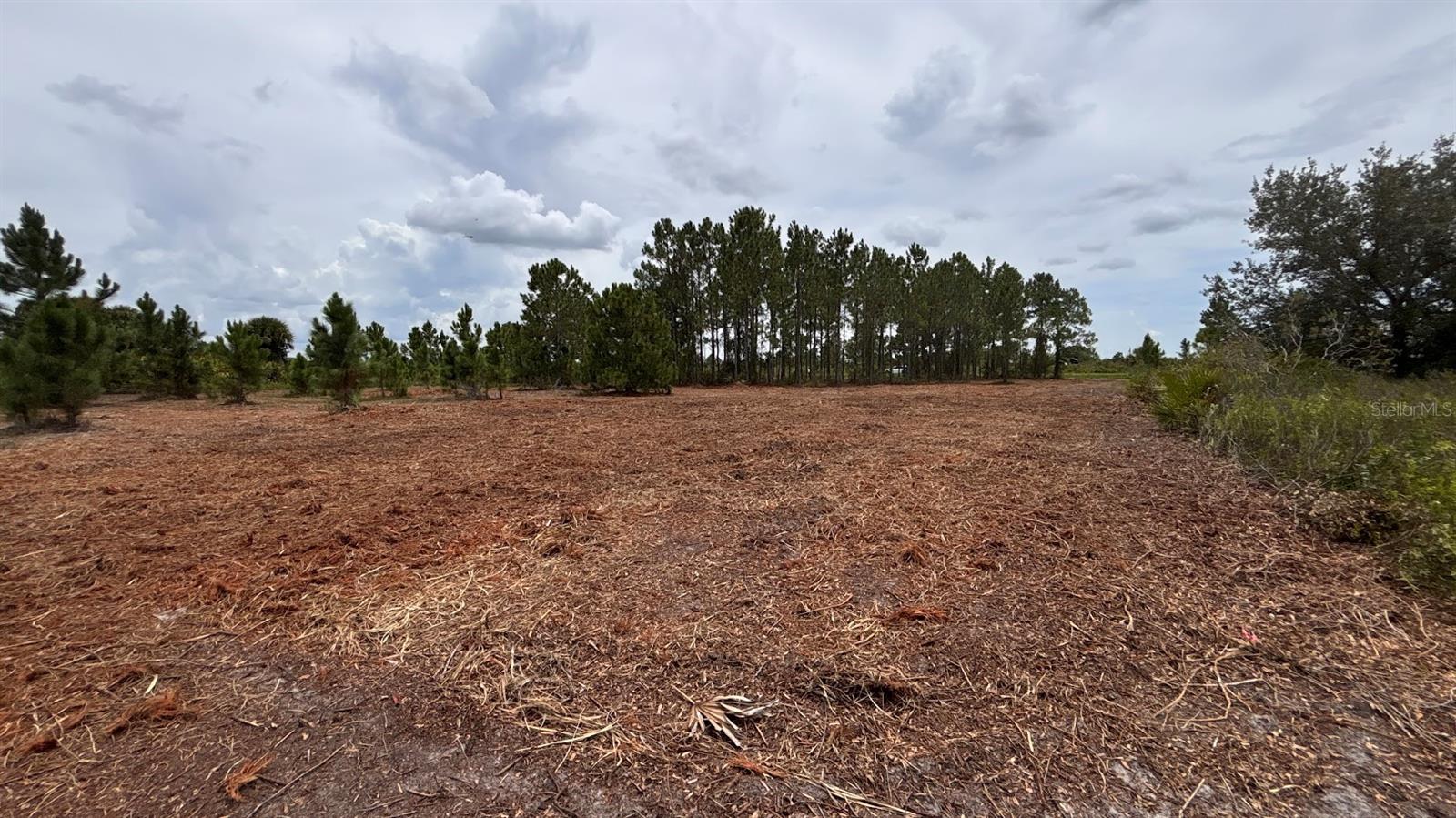 Build, farm, or invest! Beautiful 1.25-acre dry lot located in peaceful Viking Prairie, recently cleared while preserving mature trees that provide perfect shade for relaxing under a hammock after a family barbecue. Power available at the front, no wetlands, no HOA, and a completed survey included. Whether you're dreaming of building a custom home, placing a mobile home, or creating a weekend family retreat, this property offers the flexibility you need. Zoned agricultural, it allows for animals like chickens, pigs, and horses. You can also install solar panels and a water system to live off-grid. Far from the city's traffic and stress, here you'll enjoy privacy, open skies, and the sound of birds—your ideal escape into nature.