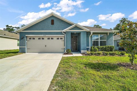 6768 CORAL BERRY DR MOUNT DORA FL 32757