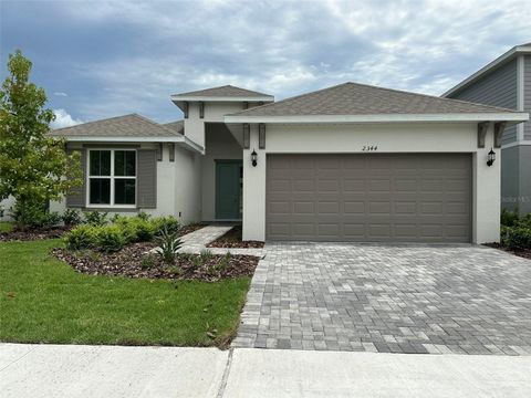 A home in MOUNT DORA