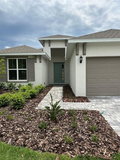 A home in MOUNT DORA