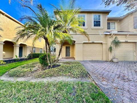 10545 SHADY FALLS COURT RIVERVIEW FL 33578