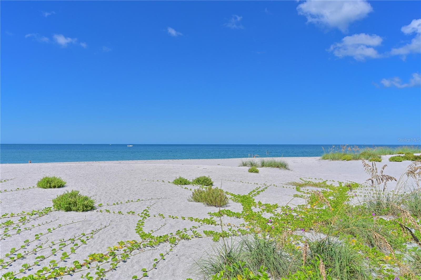 GOLDEN BEACH CONDO RESIDENCE - Residential