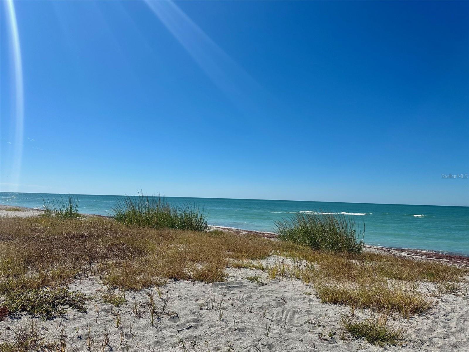 ALDEA MAR - Residential Lease