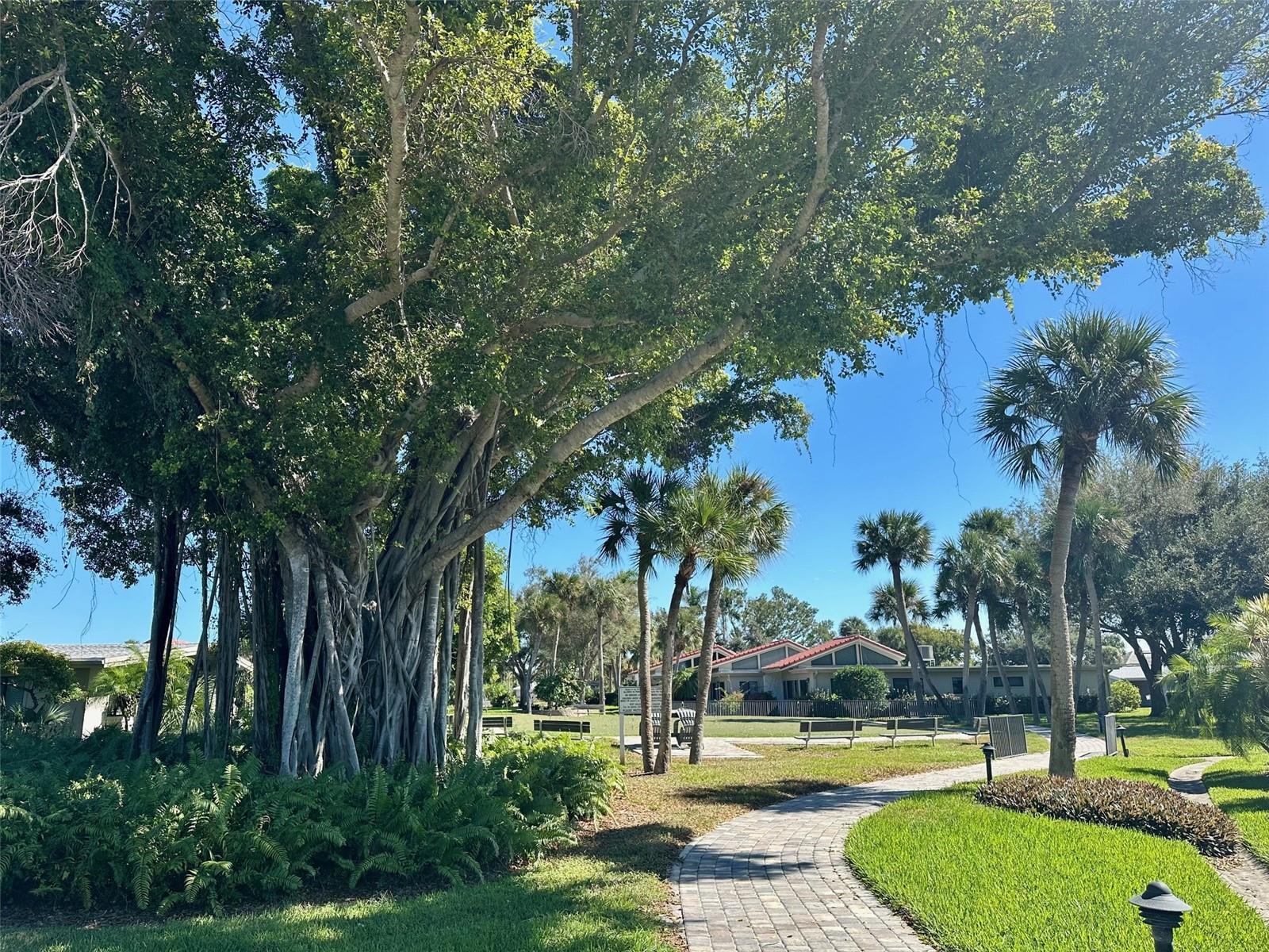 ALDEA MAR - Residential Lease