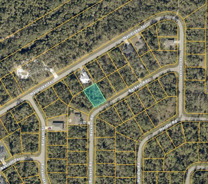 Oversized vacant lot in a quiet, no-thru-traffic North Port neighborhood, close to I-75 and surrounded by newer homes. Located in a fast-growing area, near North Port Oak's Park, shopping, dining, a water park, Atlanta Braves and Tampa Bay Rays training stadiums, and scenic nature trails. Gulf Coast beaches are about 30 minutes away. A hospital is planned on Sumter Blvd near I-75. Perfect for your dream home, but buyers should verify surveys, scrub jay zones, and gopher tortoise regulations.