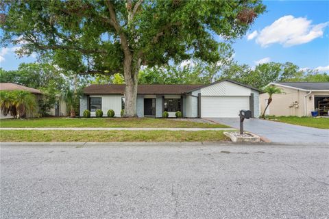 4706 FOX HUNT DRIVE TAMPA FL 33624