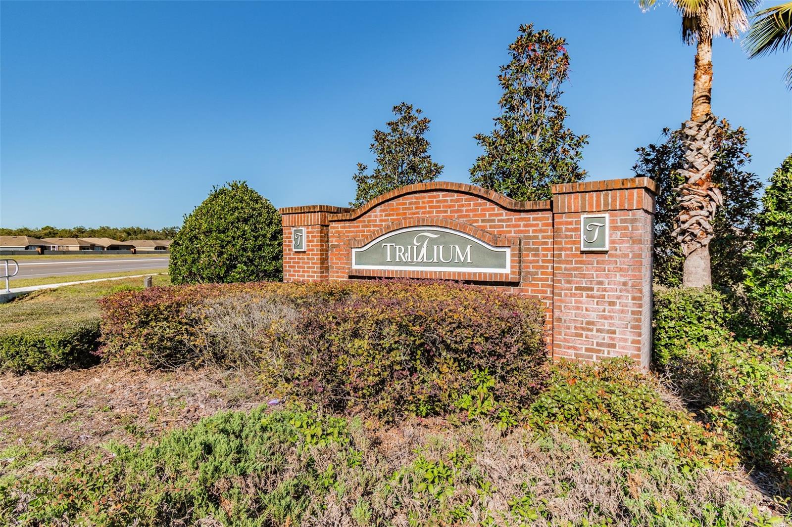 TRILLIUM VILLAGE D - Residential