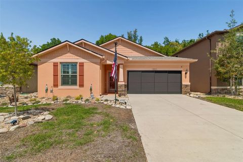 Photo of 15521 Stone House Drive, Brooksville, FL 34604 (MLS # TB8492092)