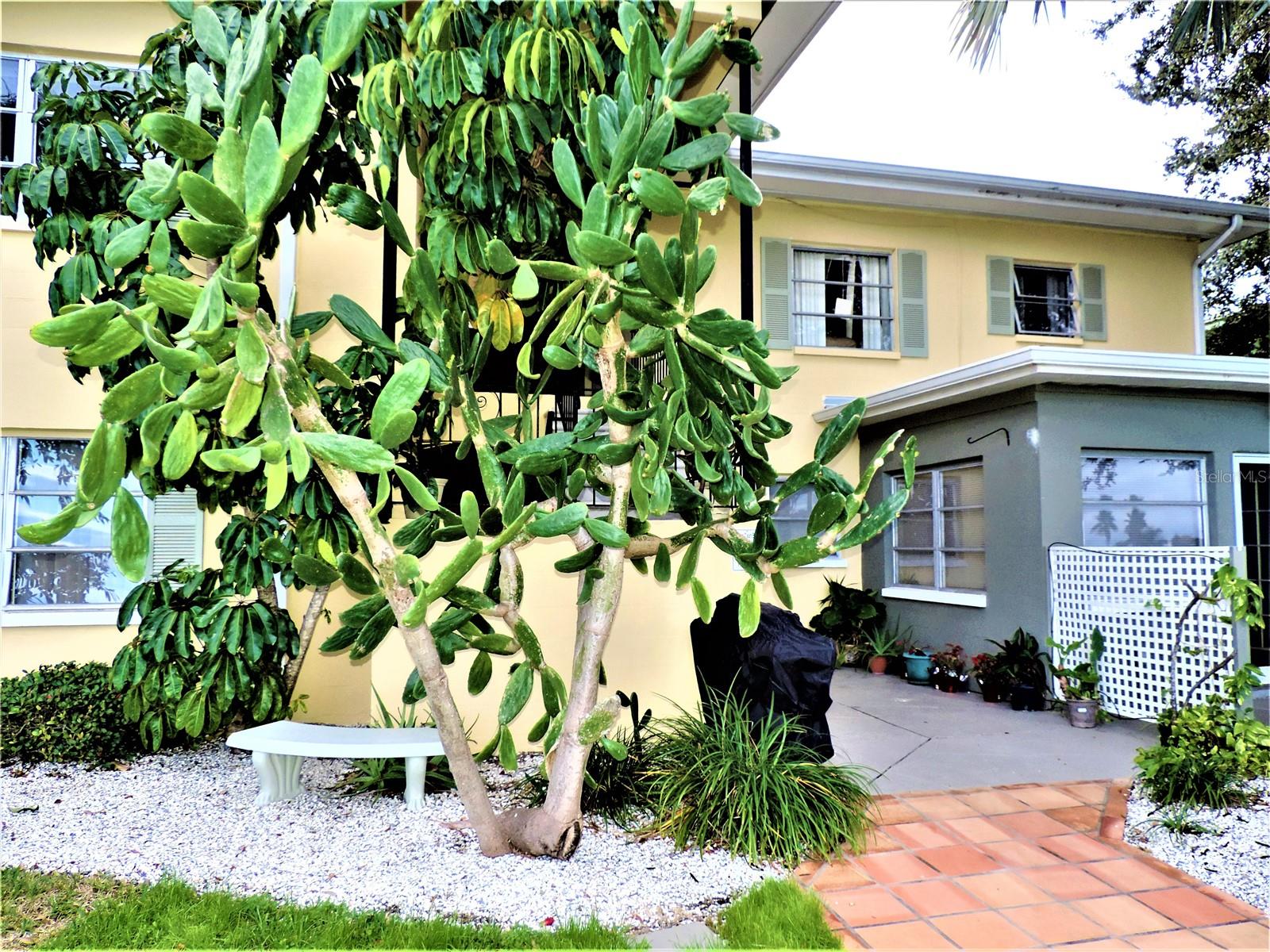 CAPRI ISLE SUB - Residential Lease